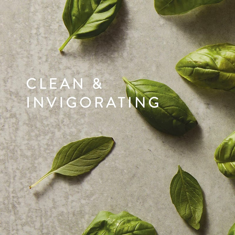 Thymes Scented Candles for Women & Men - Fresh Home Fragrance - Matte White Candles - Notes of Fresh Basil, Tomato Leaf, Sage, Black Currant, Blood Orange, & Petitgrain (Fresh-Cut Basil, 8 oz) - Image 2